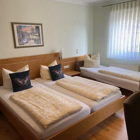 Goldener Loewe 4* Günzburg