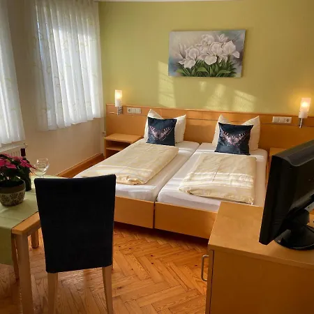 Goldener Loewe Penzion 4*